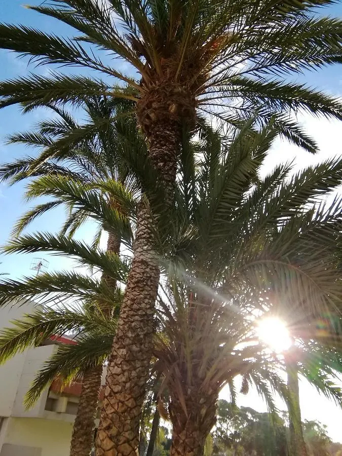 Cozy Apartment With Amazing Views To Garden Next To The Ocean Costa Del Silencio